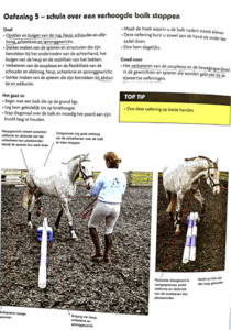 Paardenboeken-informatief