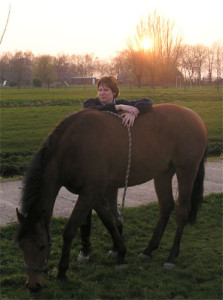 Workshop Veilig en Vertrouwd Omgaan met Paard en Pony