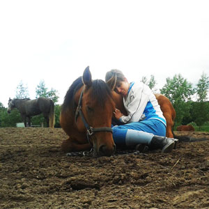 Paardenfeest (Jolien Dalenberg)