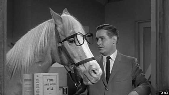 Of mr.ed pictures 