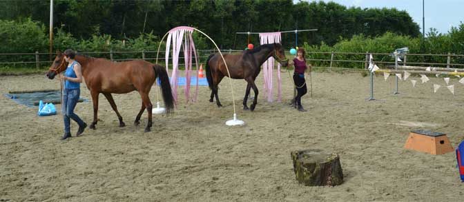 Workshops Schriktraining Paard en Ruiter