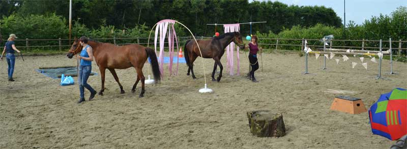 workshops schriktraining paard