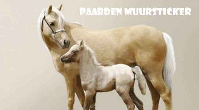 Paarden Muursticker Paard en Pony