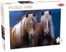Paarden Puzzel Twee Paarden