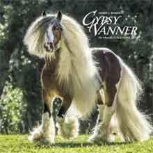 Gypsy Vanner Horse Kalender
