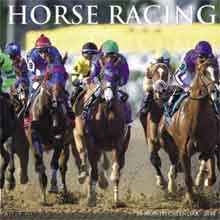 Paarden Kalender 2018 Horse Racing