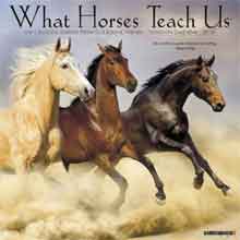 Paarden Kalender 2018 What Will Horses Teach Us