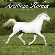 Paarden Kalenders 2018 Arabian Horses Kalender