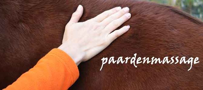 Paardenmassage