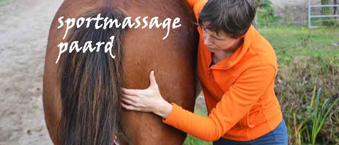 Sportmassage Paard Voordelen Uitleg