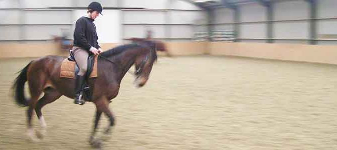 Paard is Boos met Opzadelen en Aansingelen