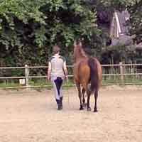 Adem Workshop Paard en Ruiter