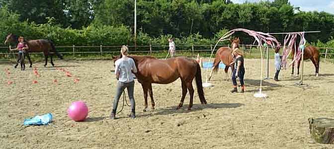Paarden Workshops Overzicht Paardenworkshops