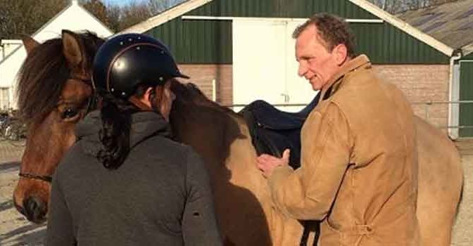 IJslander Zadel Zadels voor het IJslandse Paard