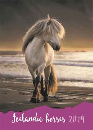 Paarden Agenda 2019 Icelandic Horses